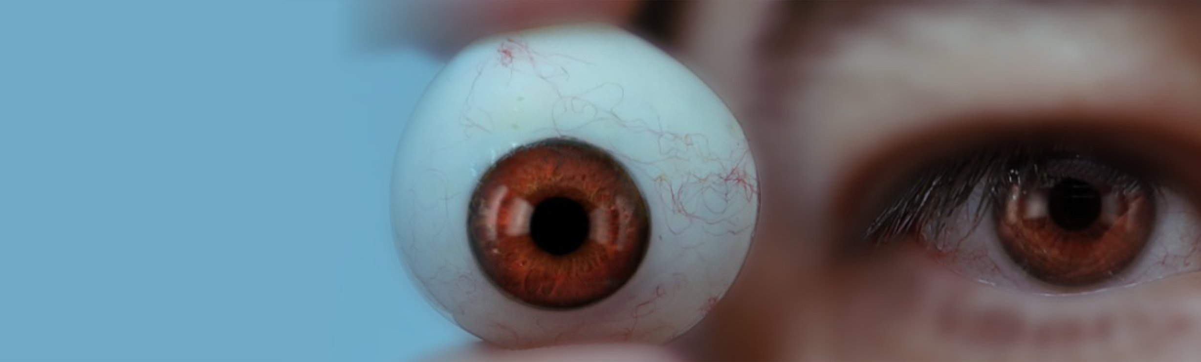 KNOCH 3D Artificial Eye